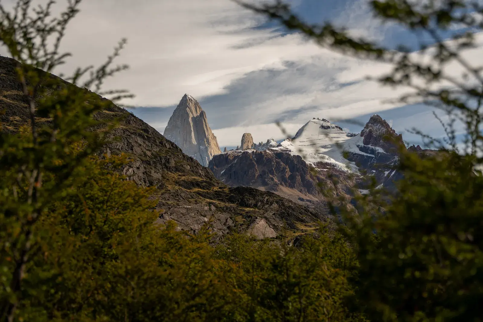 El Fitz Roy asomando entre las lengas, visto desde Cerro Eléctrico
